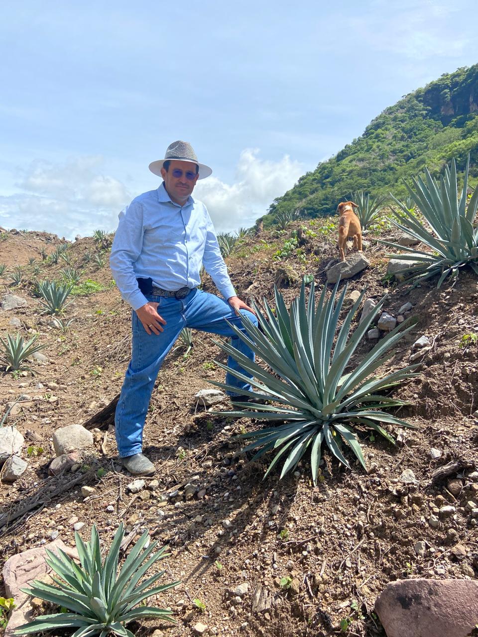 Maestro Mezcalero Don Luis