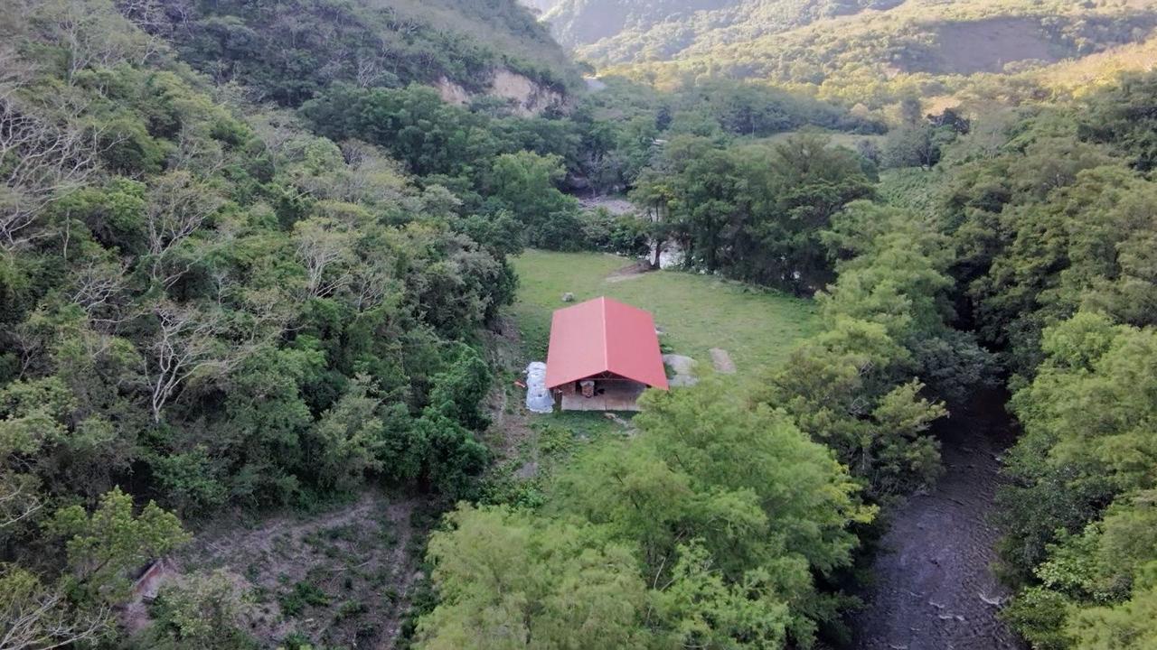 Toma aérea del rancho y corte tradicional de agaves